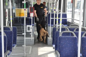wewnątrz autobusu policjant i pies służbowy